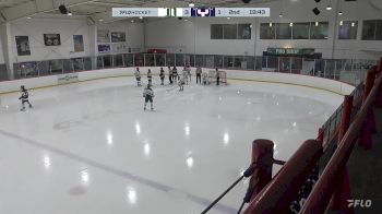 Replay: Home - 2025 Delta White vs Yale | Jan 11 @ 4 PM