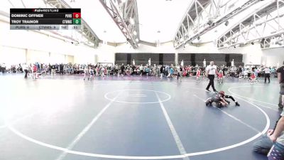 53 lbs Rr Rnd 6 - Dominic Offner, Pursuit Wrestling Academy vs Troy Trainor, CT Whale