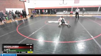 182 lbs Cons. Round 3 - Anthony Cambria, Arlington Heights (HERSEY) vs Tj Metz, Crystal Lake (CENTRAL)