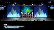 Dance Dynamics - Mini Elite Large Contemporary/Lyrical [2025 Mini - Contemporary/Lyrical - Large Semis] 2025 The Dance Summit