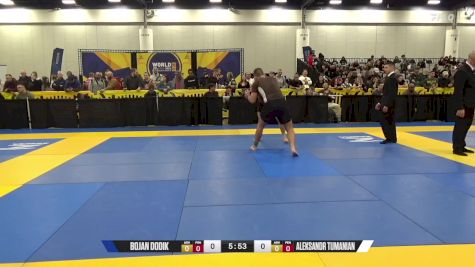 Aleksandr Tumanian vs Bojan Dodik 2024 World IBJJF Jiu-Jitsu No-Gi Championship