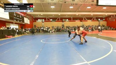 217 lbs Cons. Round 2 - Romel Molina, Richmond vs Andrew DeMartini, Liberty