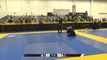 Jacob M Holman vs Joshua Wyeth Schwartz 2024 World IBJJF Jiu-Jitsu No-Gi Championship