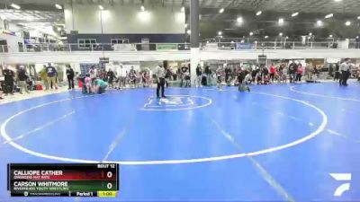44 lbs Quarterfinal - Calliope Cather, Dinwiddie Mat Rats vs Carson Whitmore, Riverheads Youth Wrestling