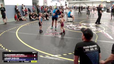 45 lbs Cons. Round 3 - Ledger Barlow, Soldotna Whalers Wrestling Club vs Alexzander Mitchell, Anchorage Youth Wrestling Academy