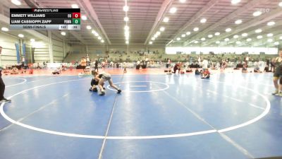 100 lbs Semifinal - Emmett Williams, Ohio Gold vs Liam Cassioppi Zapf, POWA