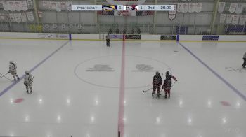 Replay: Home - 2025 STA Sharks vs Steelers | Mar 1 @ 4 PM