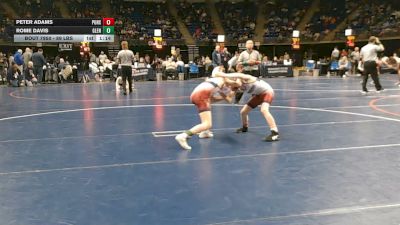 89 lbs Consy 3 - Peter Adams, Punxsutawney vs Rome Davis, Glendale