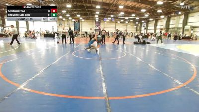 126 lbs Round Of 16 - Aj DeLaCruz, SC vs Steven Ham 3rd, NJ