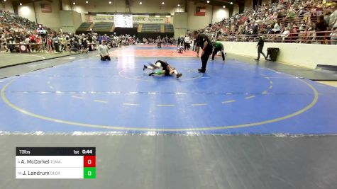 73 lbs Consi Of 8 #2 - Aiden McCorkel, Tomahawk Wrestling Club vs Jonah Landrum, Georgia