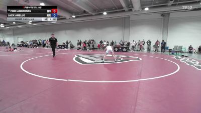 48 lbs Cons. Round 2 - Finn Andersen, Ruthless Wrestling Club vs Jack Anello, New Jersey