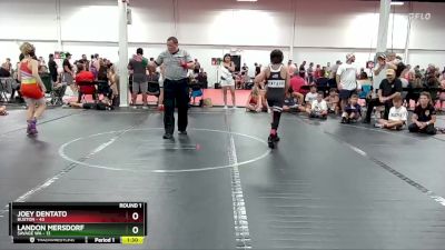 96 lbs Round 1 (6 Team) - Joey Dentato, Buxton vs Landon Mersdorf, Savage WA