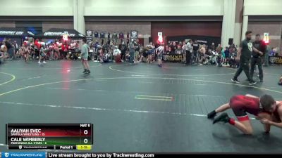 91 lbs Round 4 (6 Team) - Aaliyah Svec, Spatola Wrestling vs Cale Wimberly, Panhandle All-Stars