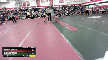 75-80 lbs Round 2 - Laecyn Birdno, Carrollton Youth Wrestling vs Derek Catron, Excelsior Springs