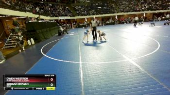 77 lbs Cons. Round 4 - Owen Westrem, Moen Wrestling Academy vs Brogan Brasch, Iowa
