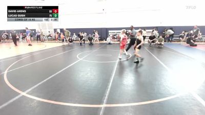 75 lbs Consi Of 16 #2 - David Arens, OH vs Lucas Gush, PA