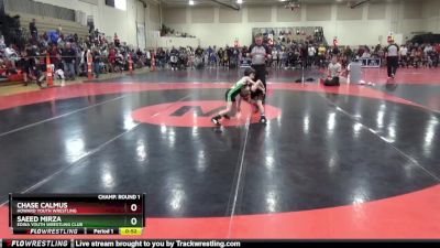 45 lbs Champ. Round 1 - Chase Calmus, Howard Youth Wrestling vs Saeed Mirza, Edina Youth Wrestling Club