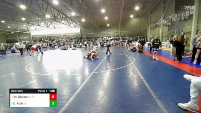 175 lbs Cons. Round 2 - Mason Bloxom, Bear Lake Wrestling Club vs Damien Avila, East Idaho Elite