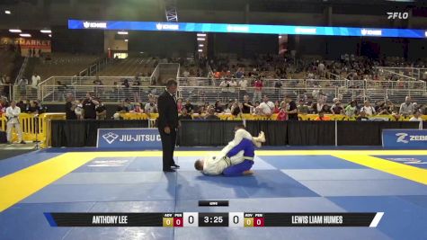 Lewis Liam Humes vs Anthony Lee 2025 Pan Kids Jiu-Jitsu IBJJF Championship