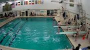 Replay: UW-Stevens Point vs Northern Michigan Diving - 2025 UW-Stevens Point vs Northern Michigan | Jan 18 @ 2 PM