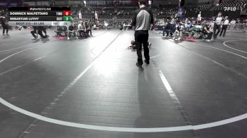 55 lbs Quarterfinal - Dominick Malfettano, Toms River vs Sebastian Luthy, Buxton (NJ)