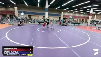 53 lbs 1st Place Match - Robert Walker, Haslet WC vs Gabriel Tantillo, Warrior Trained Wrestling