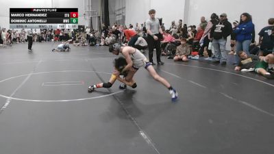 72 lbs Semis (4 Team) - Marco Hernandez, Steller Trained Gold vs Dominic Antonelli, Malvern WC