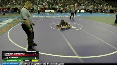 Quarterfinal - Cameron Brumbaugh, Hastings vs Tyson Brown, Blair