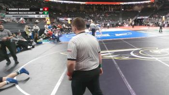 Quarterfinal - Dominic Baggiani, Millard West vs Roberto Macias-Sidzyik, Creighton Prep