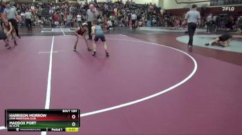 PW-10 lbs Cons. Semi - Harrison Morrow, Lynx Wrestling Club vs Maddox Port, DC ELITE