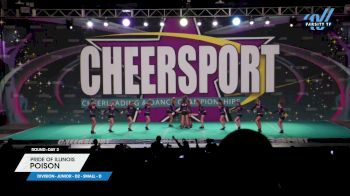 Pride of Illinois - Poison [2024 L3 Junior - D2 - Small - D Day 2] 2024 CHEERSPORT National All Star Cheerleading Championship
