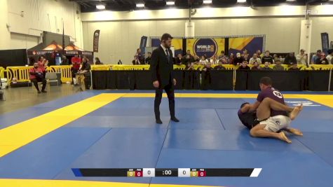 Rodrigo Rodrigues Rondelli vs Luis Martin Del Toro 2024 World IBJJF Jiu-Jitsu No-Gi Championship