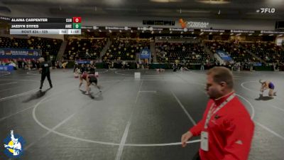 125 lbs Cons. Round 3 - Alaina Carpenter, Clinton vs Jaedyn Stites, Ankeny