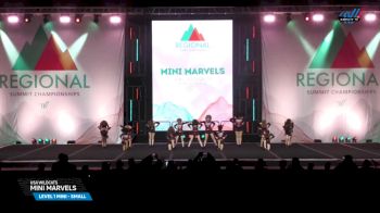 USA Wildcats - Mini Marvels [2025 L1 Mini - Small Day 2] 2025 The Northeast Regional Summit