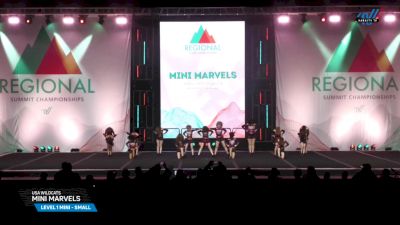 USA Wildcats - Mini Marvels [2025 L1 Mini - Small Day 2] 2025 The Northeast Regional Summit