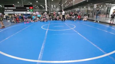 72 lbs Round 3 - Esa Hannigan, Team Tugman WC vs AJ Domico, Tri State Hammers