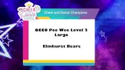 Show Cheer 2 - Farmingdale-Howell Lions [2025 Jr. Pee Wee Day 1] 2025 Pop Warner National Cheer & Dance Championship