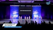 Pivot Performance Arts - Tiny Dancer [2025 Mini - Contemporary/Lyrical - Large Day 1] 2025 NDA All-Star National Championship