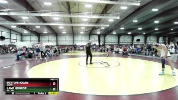 113 lbs Cons. Round 3 - Lane Monroe, Millard vs Peyton Hogan, Uintah