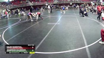 138 lbs Cons. Round 3 - Emmerson Halverson, Midwest Destroyers Wrestling Club vs KaLee Rosenthal, Nebraska Wrestling Academy