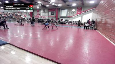 125 lbs Cons. Round 6 - Mia Sena, La Habra vs Baileigh Williams, Centennial