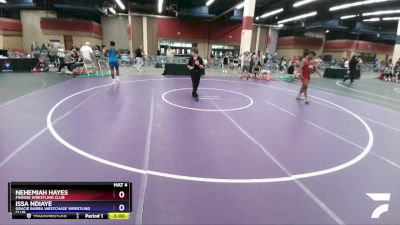 190 lbs Cons. Round 4 - Nehemiah Hayes, Finesse Wrestling Club vs Issa Ndiaye, Gracie Barra Westchase Wrestling Club