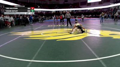 113 lbs Quarterfinal - Tre Hallford, Meridian vs Shane Bayley, Borah