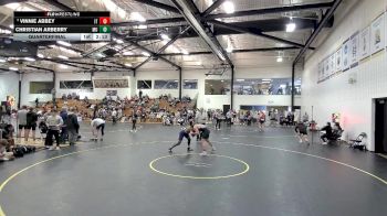 157 lbs Quarterfinal - Vinnie Abbey, Indiana Tech vs Christian Arberry, Marian