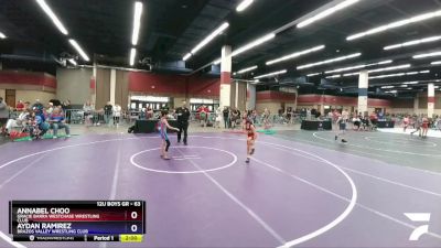 63 lbs Round 3 - Annabel Choo, Gracie Barra Westchase Wrestling Club vs Aydan Ramirez, Brazos Valley Wrestling Club