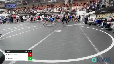 70 lbs Rr Rnd 3 - Avalynn Mehan, Redskins Wrestling Club vs Amelia Morris, Piedmont