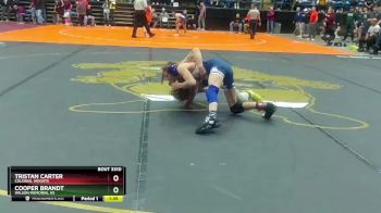 3 - 106 lbs Semifinal - Tristan Carter, Colonial Heights vs Cooper Brandt, Wilson Memorial HS