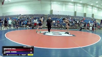 136 lbs Cons. Round 3 - Braydon Hall, MI vs Gabriel Harris, OH