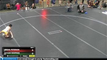 67 lbs Quarterfinal - Abigail Peterson, IA vs Nathan Hoopman, MN