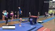 Andrea Williams - Women's Group, Premier Gymnastics - 2021 Women's Xcel Region 4 Championships